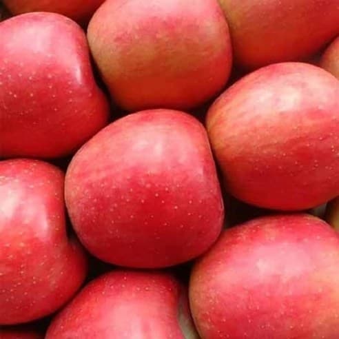 과일 꾸러미 구독